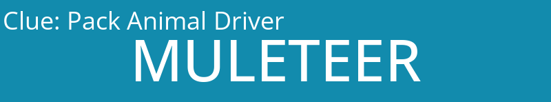 Pack Animal Driver