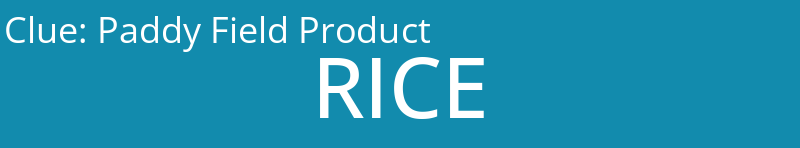 Paddy Field Product