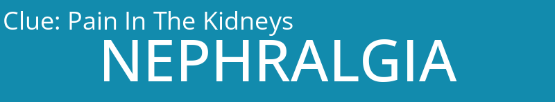 Pain In The Kidneys