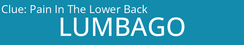 Pain In The Lower Back