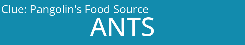 Pangolin's Food Source