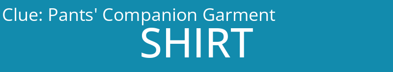 Pants' Companion Garment