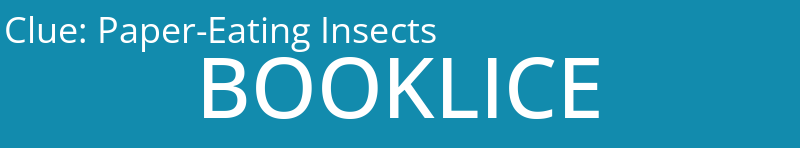 Paper-Eating Insects