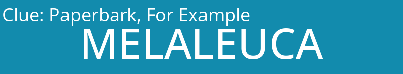 Paperbark, For Example