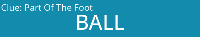 Part Of The Foot