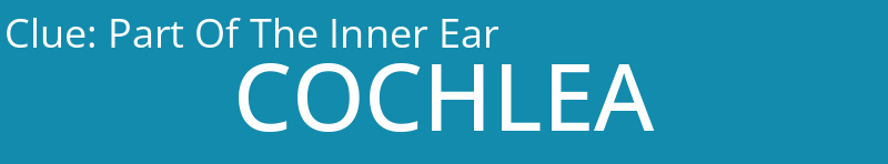 Part Of The Inner Ear