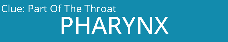 Part Of The Throat