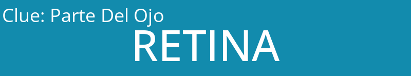 Parte Del Ojo