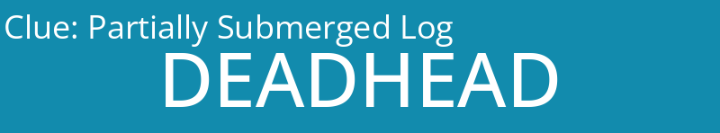 Partially Submerged Log