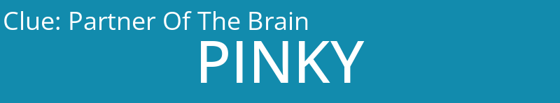 Partner Of The Brain