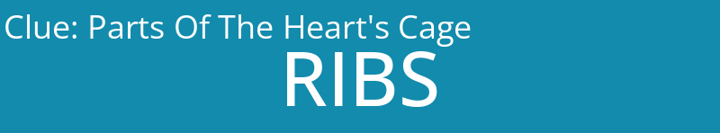 Parts Of The Heart's Cage