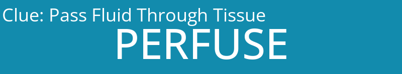 Pass Fluid Through Tissue