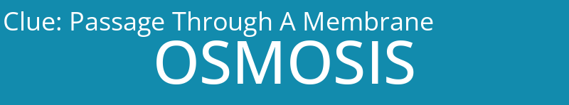 Passage Through A Membrane