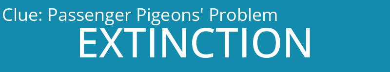 Passenger Pigeons' Problem