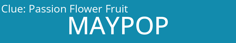 Passion Flower Fruit