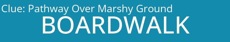 Pathway Over Marshy Ground