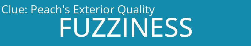 Peach's Exterior Quality