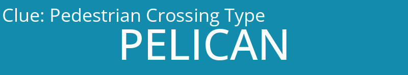 Pedestrian Crossing Type