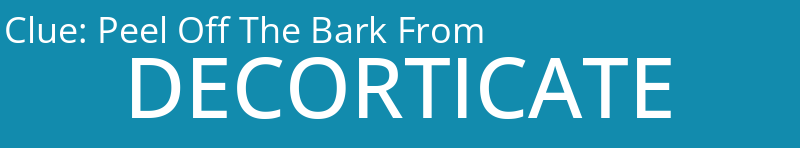 Peel Off The Bark From