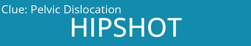Pelvic Dislocation
