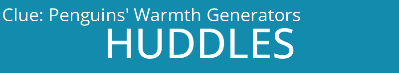 Penguins' Warmth Generators