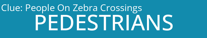 People On Zebra Crossings