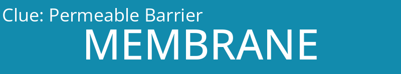 Permeable Barrier