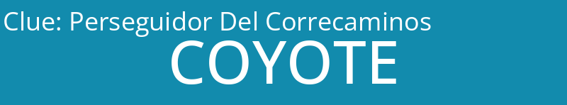 Perseguidor Del Correcaminos