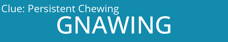 Persistent Chewing