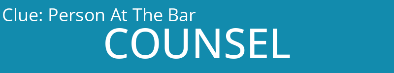 Person At The Bar