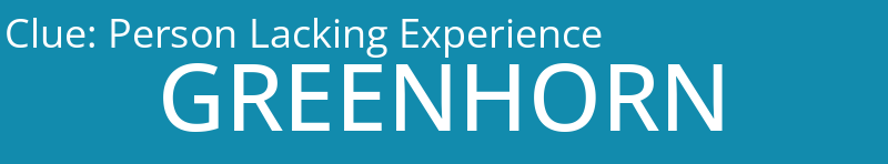 Person Lacking Experience