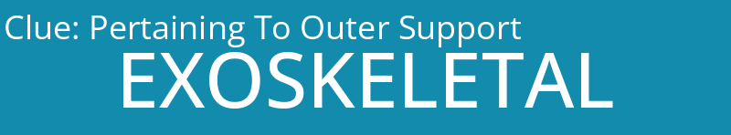 Pertaining To Outer Support