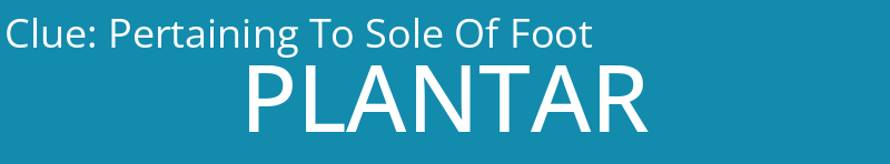 Pertaining To Sole Of Foot