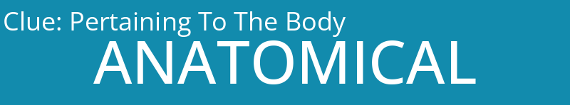 Pertaining To The Body