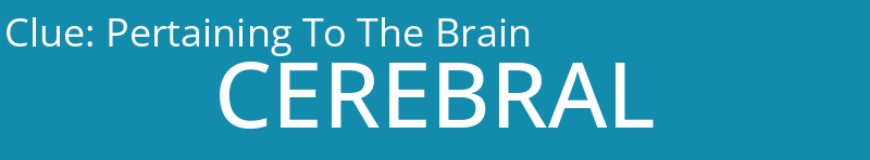 Pertaining To The Brain