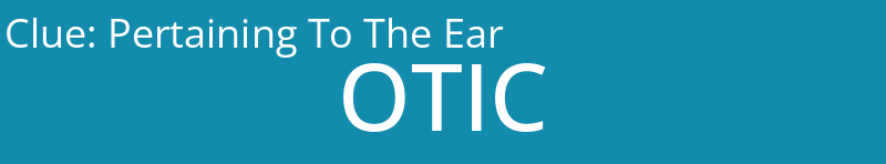 Pertaining To The Ear