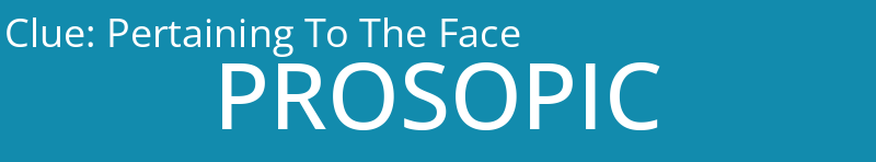 Pertaining To The Face