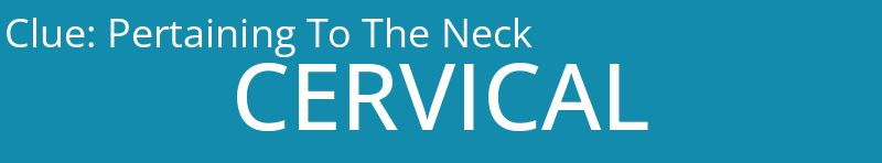 Pertaining To The Neck