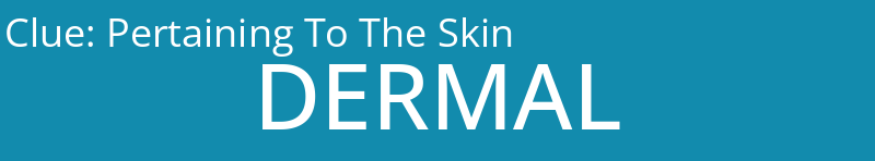 Pertaining To The Skin