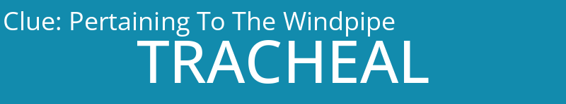 Pertaining To The Windpipe