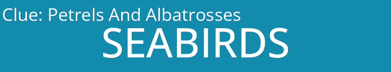 Petrels And Albatrosses