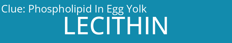 Phospholipid In Egg Yolk