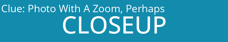 Photo With A Zoom, Perhaps