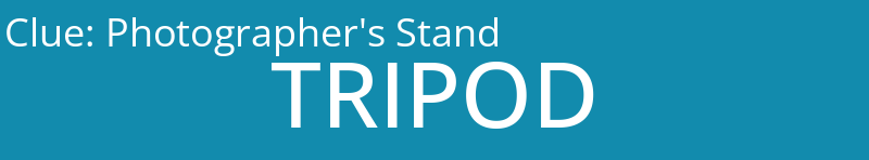 Photographer's Stand