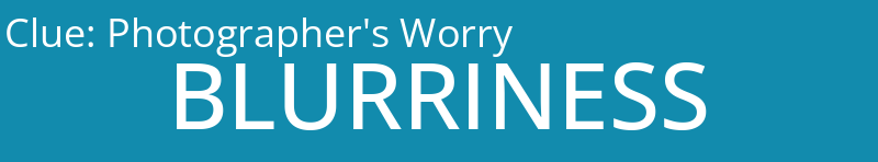 Photographer's Worry