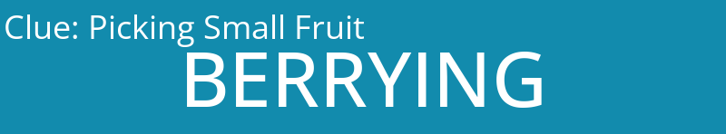 Picking Small Fruit