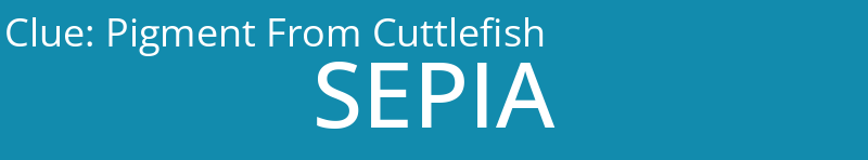 Pigment From Cuttlefish