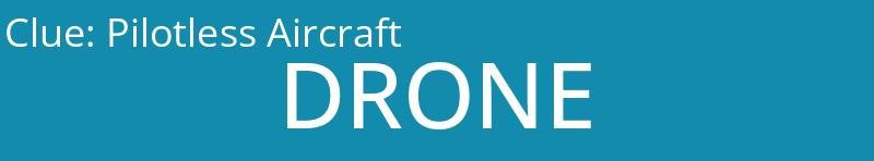 Pilotless Aircraft