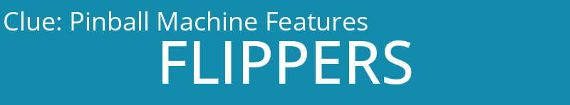 Pinball Machine Features