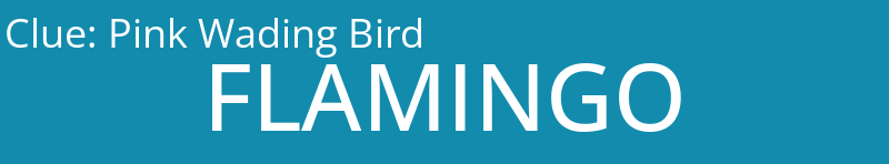 Pink Wading Bird
